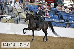 14r14_6282 proof