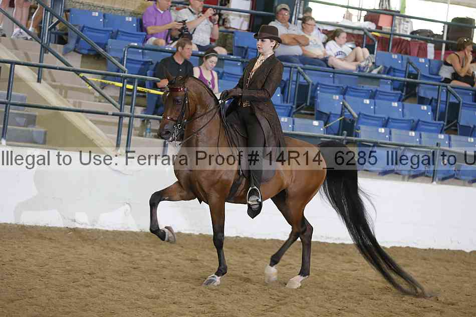 Proof 14r14_6285