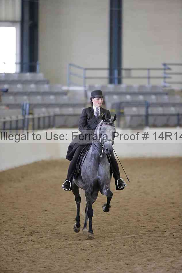 Proof 14r14_6286