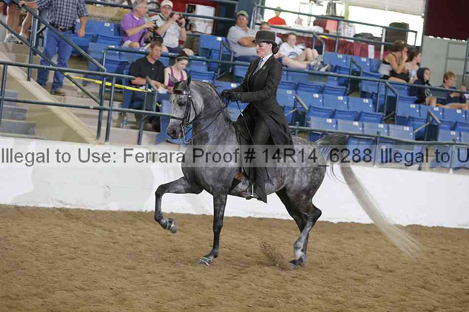 Proof 14r14_6288