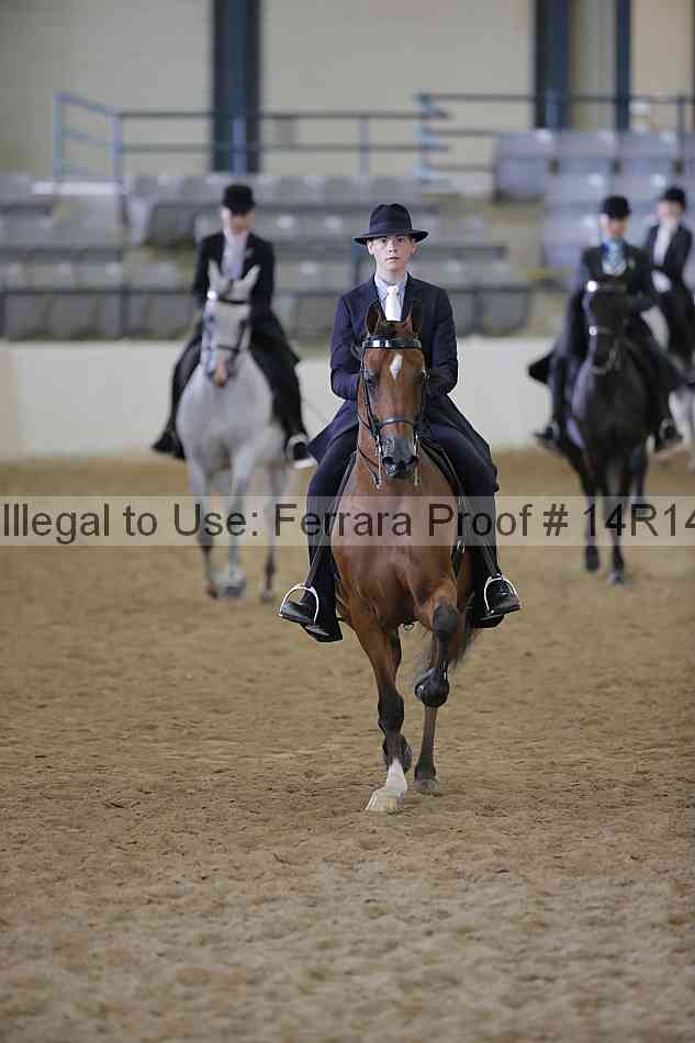 Proof 14r14_6290