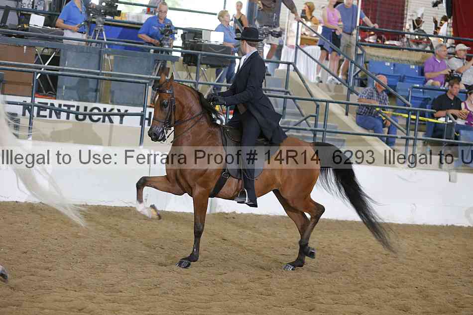 Proof 14r14_6293