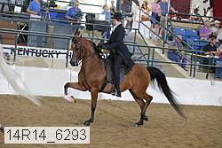 14r14_6293 proof