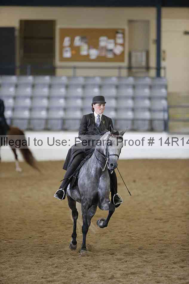 Proof 14r14_6294