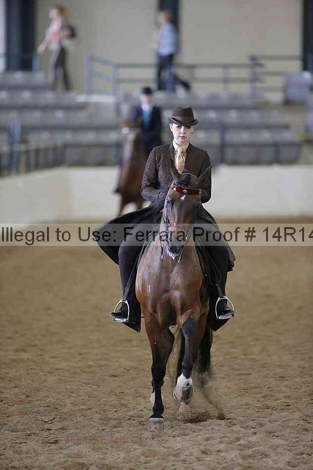 Proof 14r14_6295