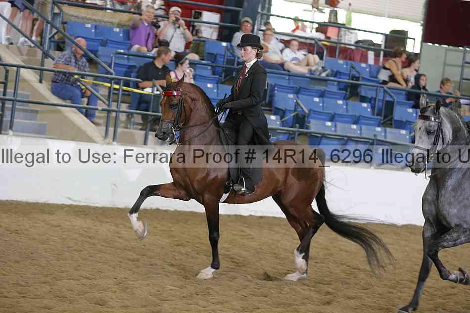 Proof 14r14_6296