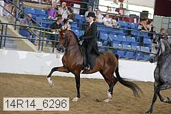 14r14_6296 proof