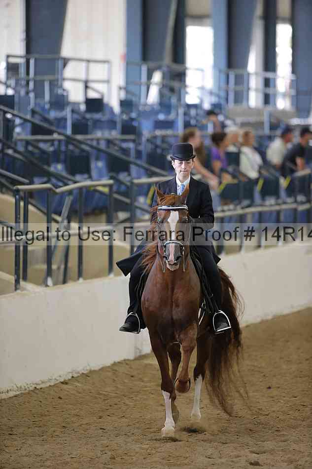 Proof 14r14_6299