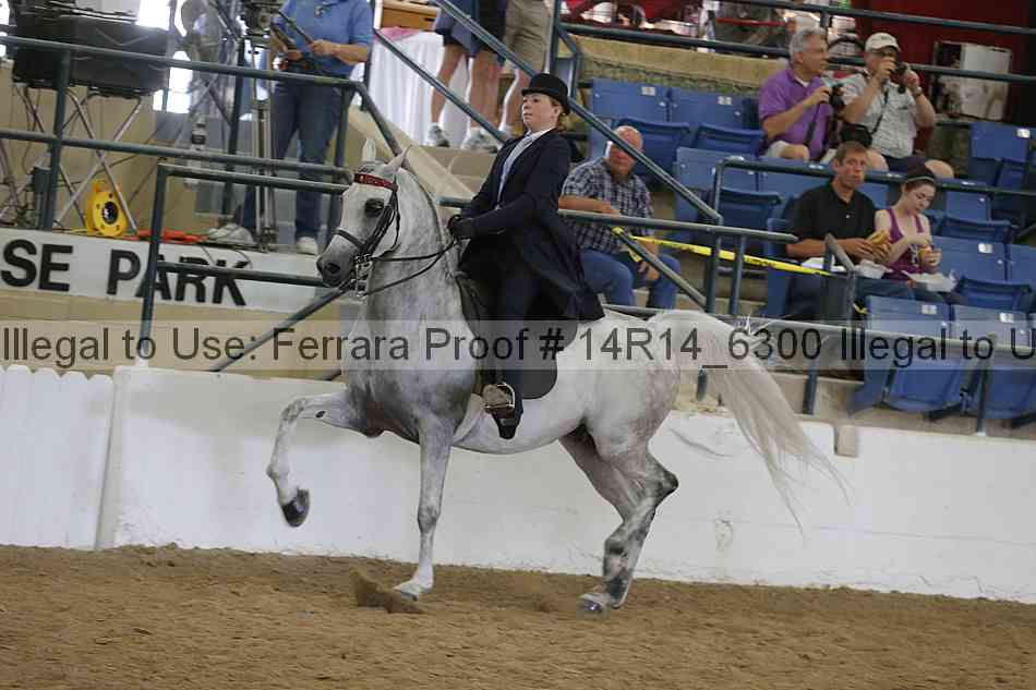 Proof 14r14_6300