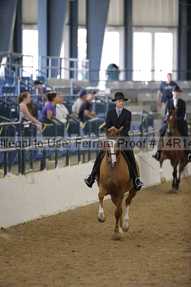 Proof 14r14_6301