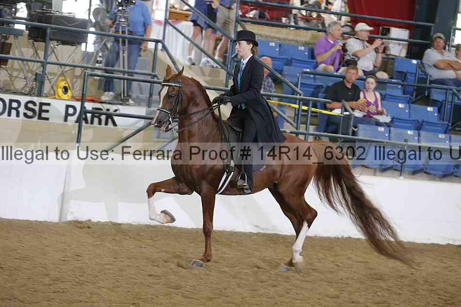 Proof 14r14_6302