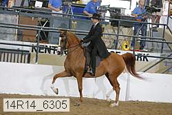 14r14_6305 proof