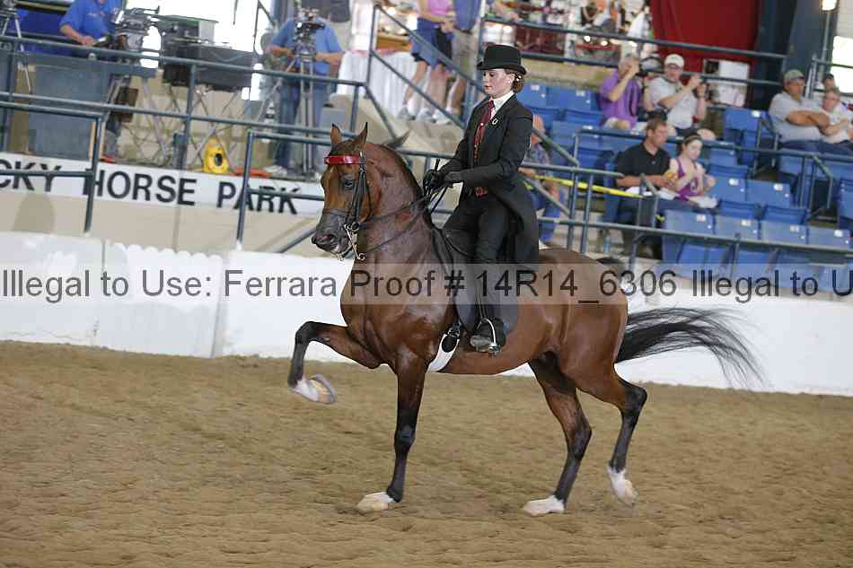 Proof 14r14_6306