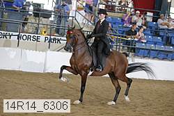 14r14_6306 proof