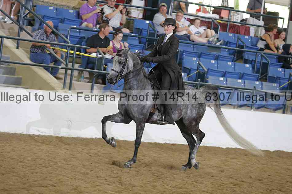 Proof 14r14_6307
