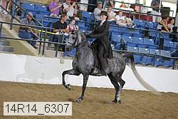 14r14_6307 proof