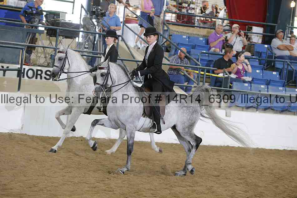 Proof 14r14_6309