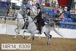 14r14_6309 proof