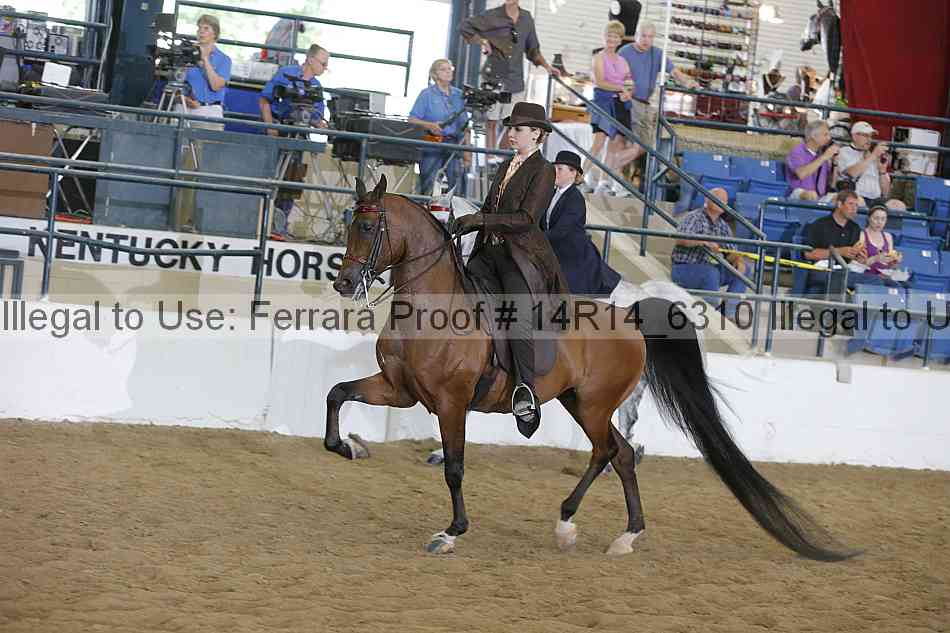Proof 14r14_6310