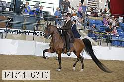 14r14_6310 proof