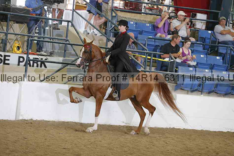 Proof 14r14_6311