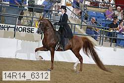 14r14_6312 proof