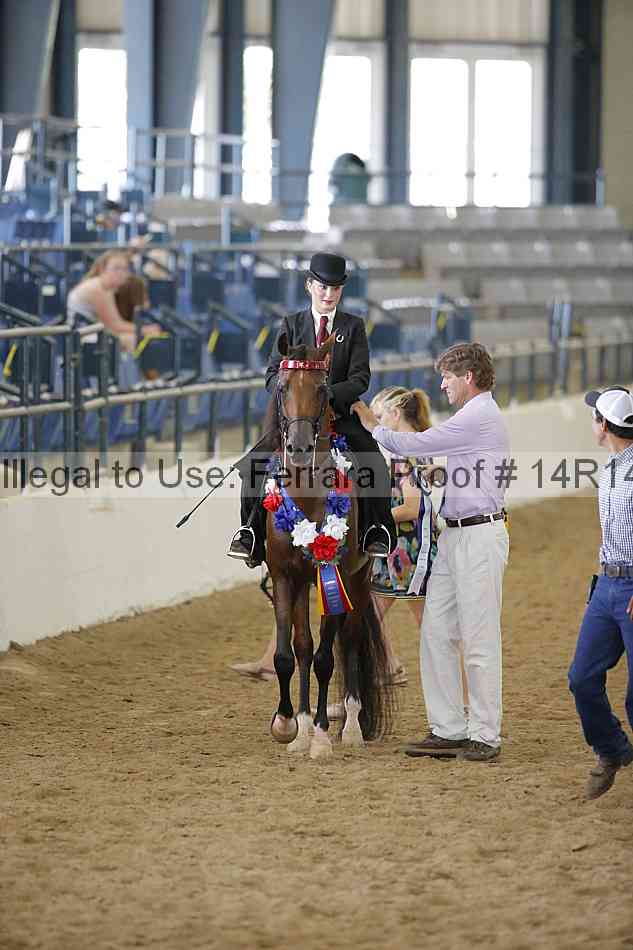 Proof 14r14_6317