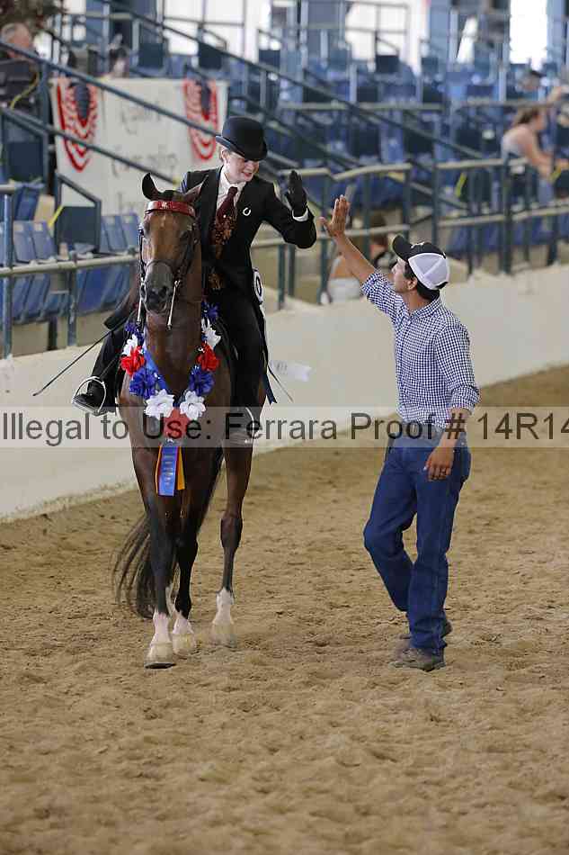 Proof 14r14_6319