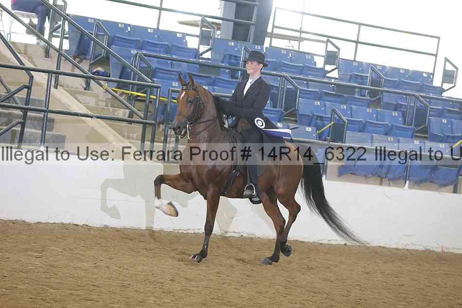 Proof 14r14_6322