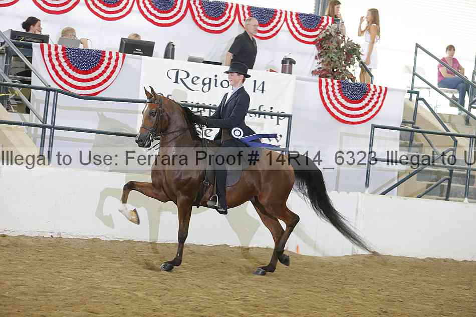 Proof 14r14_6323
