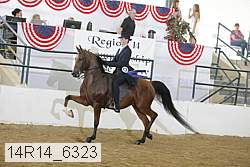 14r14_6323 proof