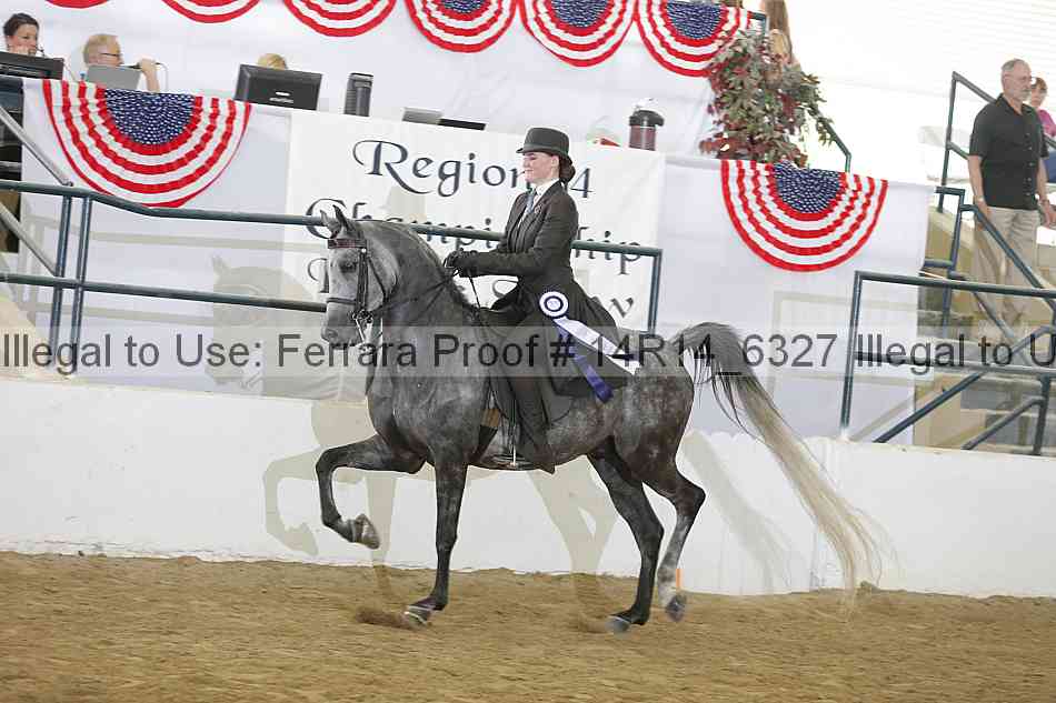 Proof 14r14_6327