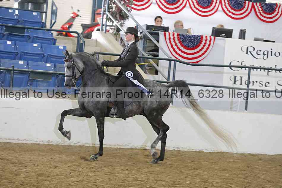 Proof 14r14_6328