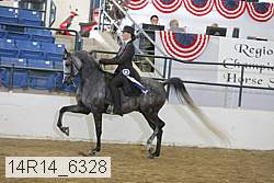 14r14_6328 proof