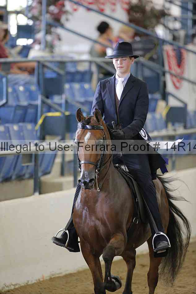 Proof 14r14_6329