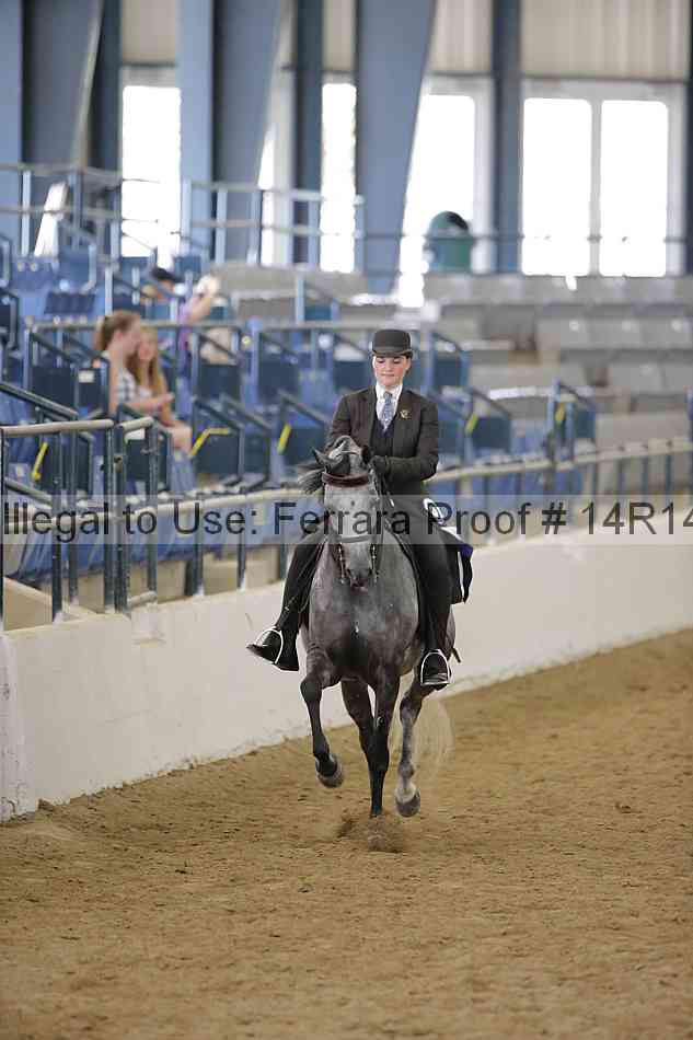 Proof 14r14_6330