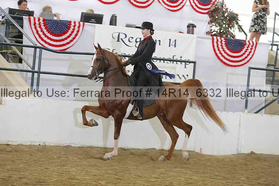 Proof 14r14_6332