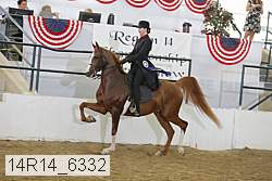 14r14_6332 proof