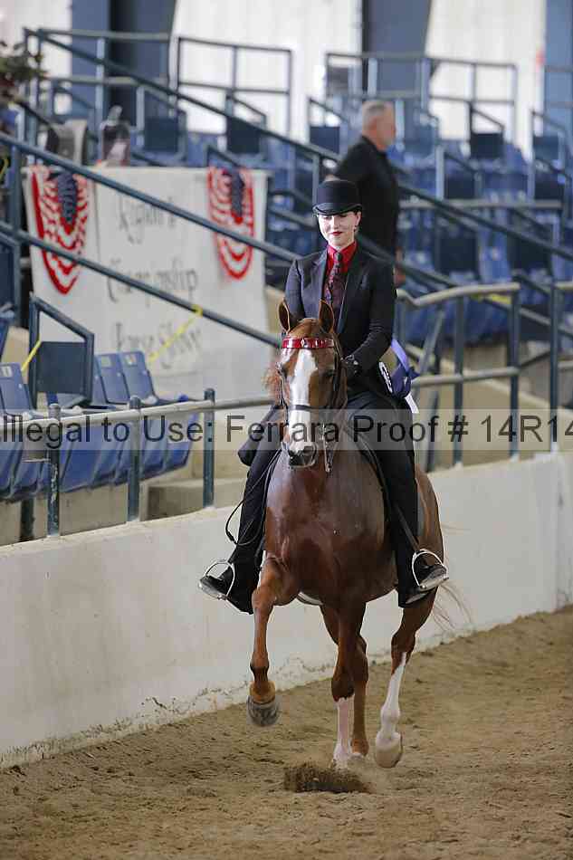 Proof 14r14_6334