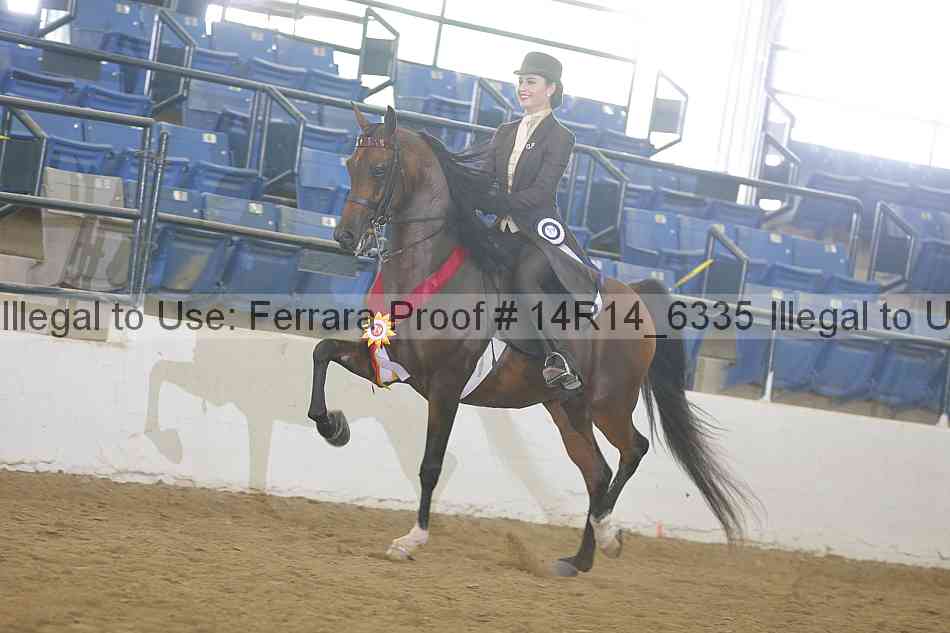 Proof 14r14_6335