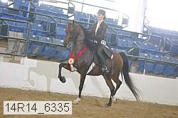 14r14_6335 proof