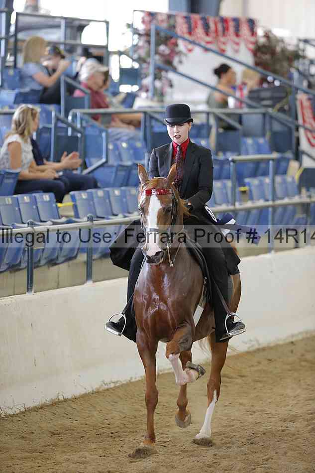 Proof 14r14_6336