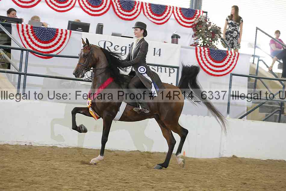 Proof 14r14_6337