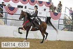 14r14_6337 proof