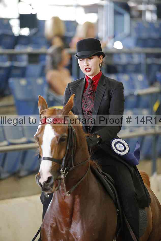 Proof 14r14_6338