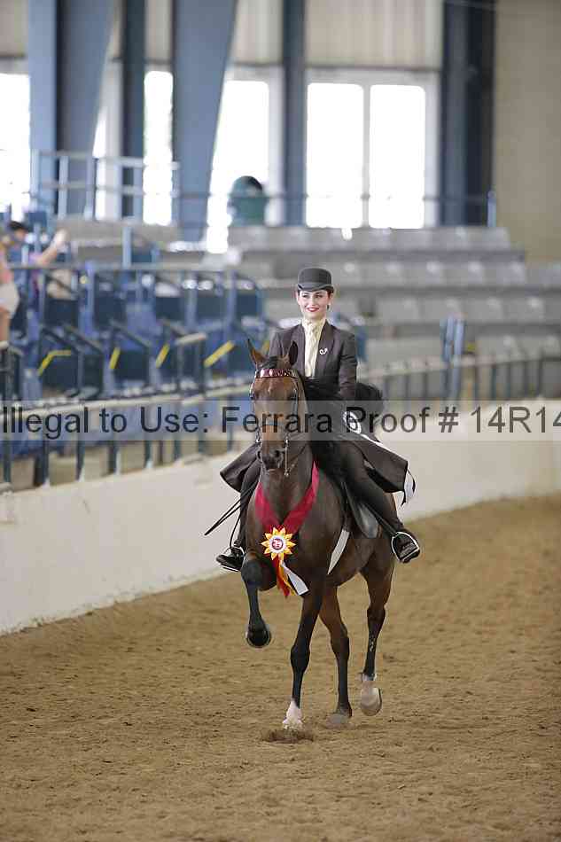 Proof 14r14_6339