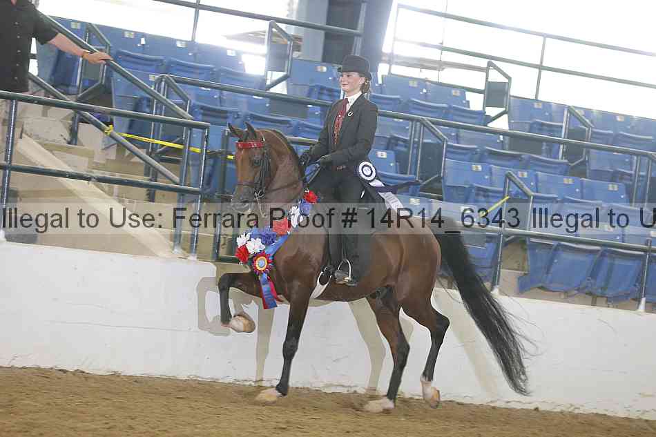 Proof 14r14_6343
