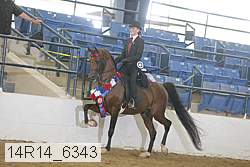 14r14_6343 proof