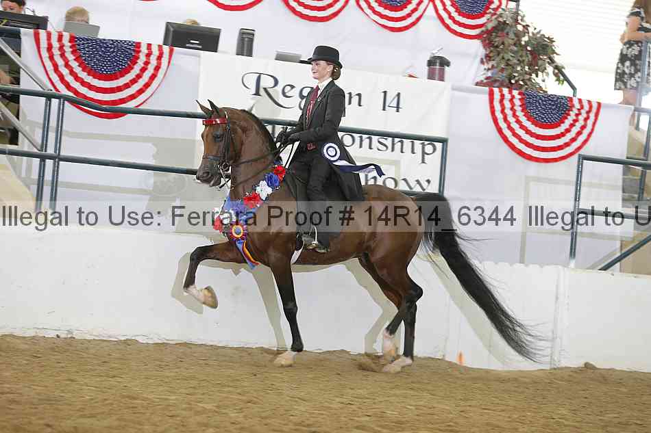 Proof 14r14_6344