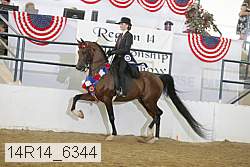 14r14_6344 proof